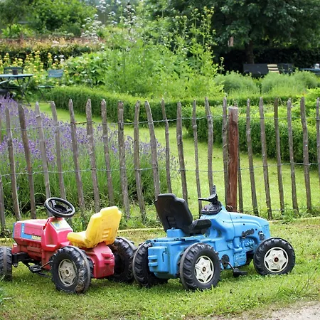 In Reusel Near Cycling Routes, Cleaning Included Lage Mierde